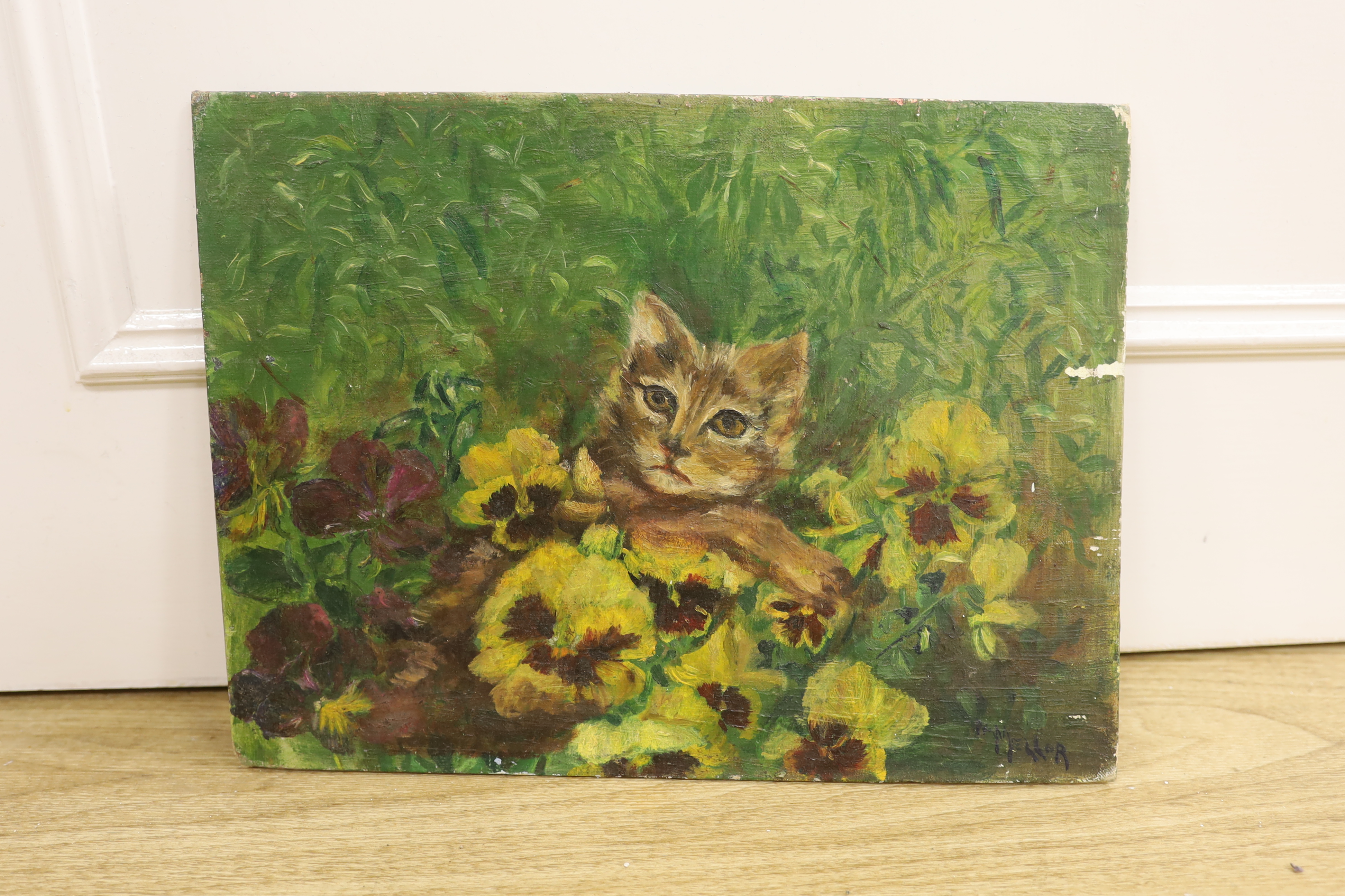 Pam Mellor, oil on canvas board, Cat amongst flowers, signed, 27 x 35cm, unframed